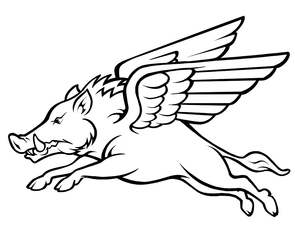 Flying Pigasus decal artwork