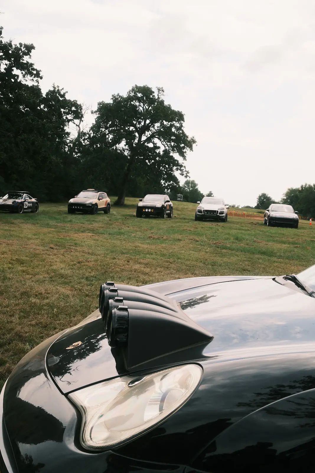 Safari Porsches gathered in a field at a Napoleon Motorsports event